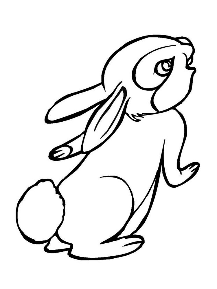 Кролик картинки раскраски (29)