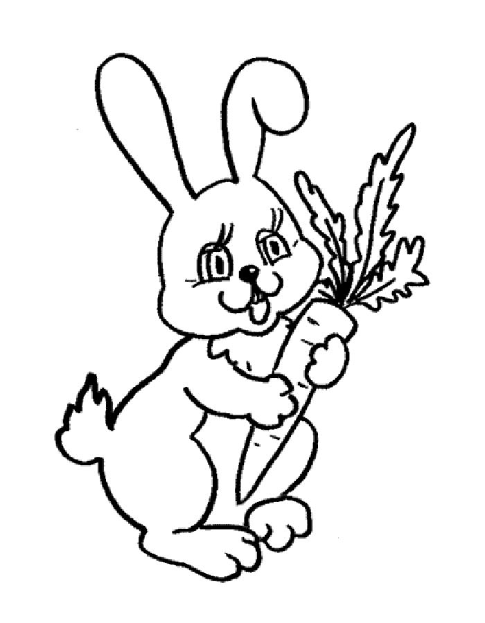 Кролик картинки раскраски (31)