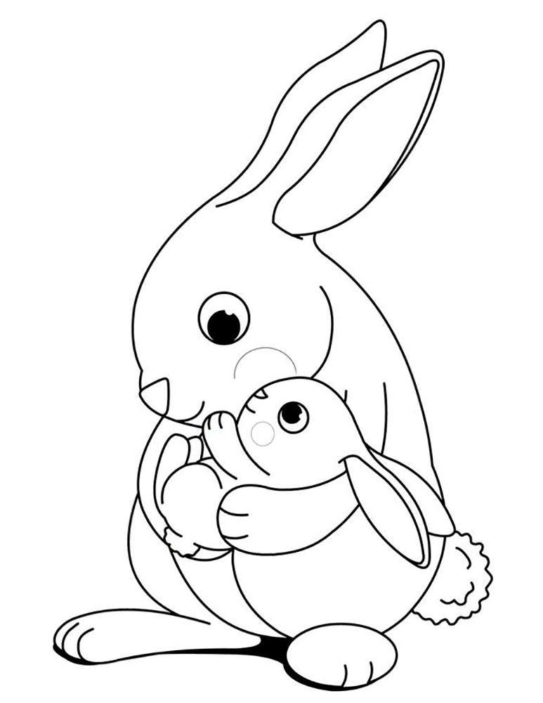 Кролик картинки раскраски (6)