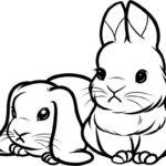 Кролик картинки раскраски (7)