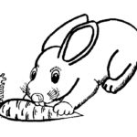 Кролик картинки раскраски (8)