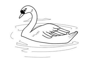 Лебедь картинки раскраски (18)