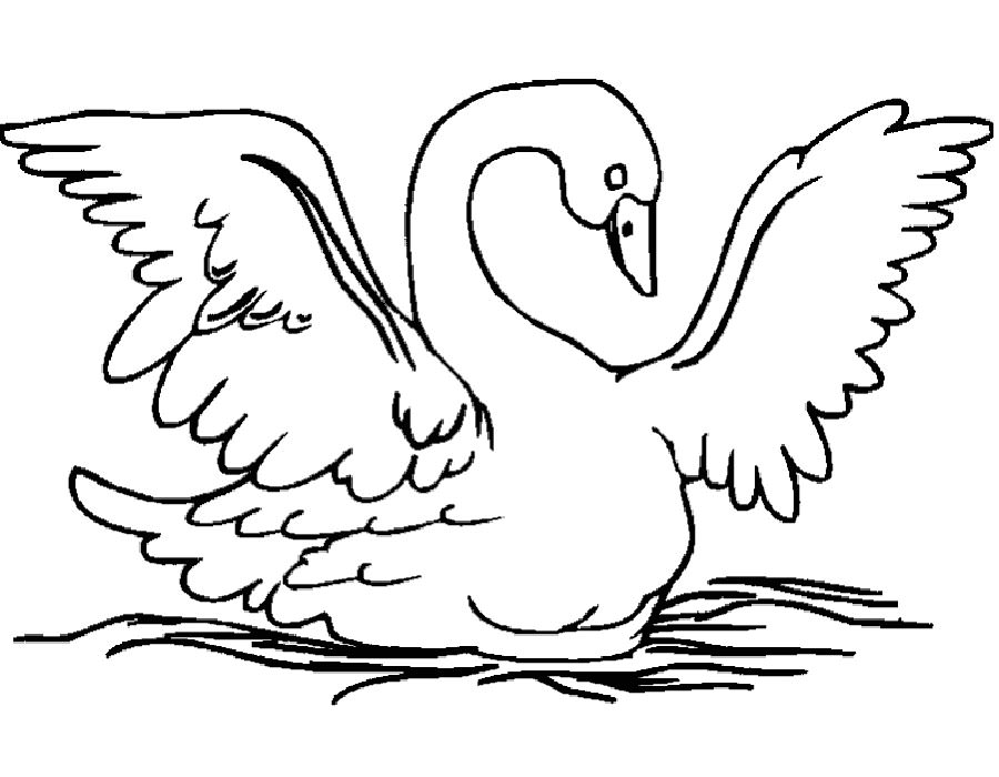 Лебедь картинки раскраски (20)