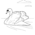 Лебедь картинки раскраски (23)