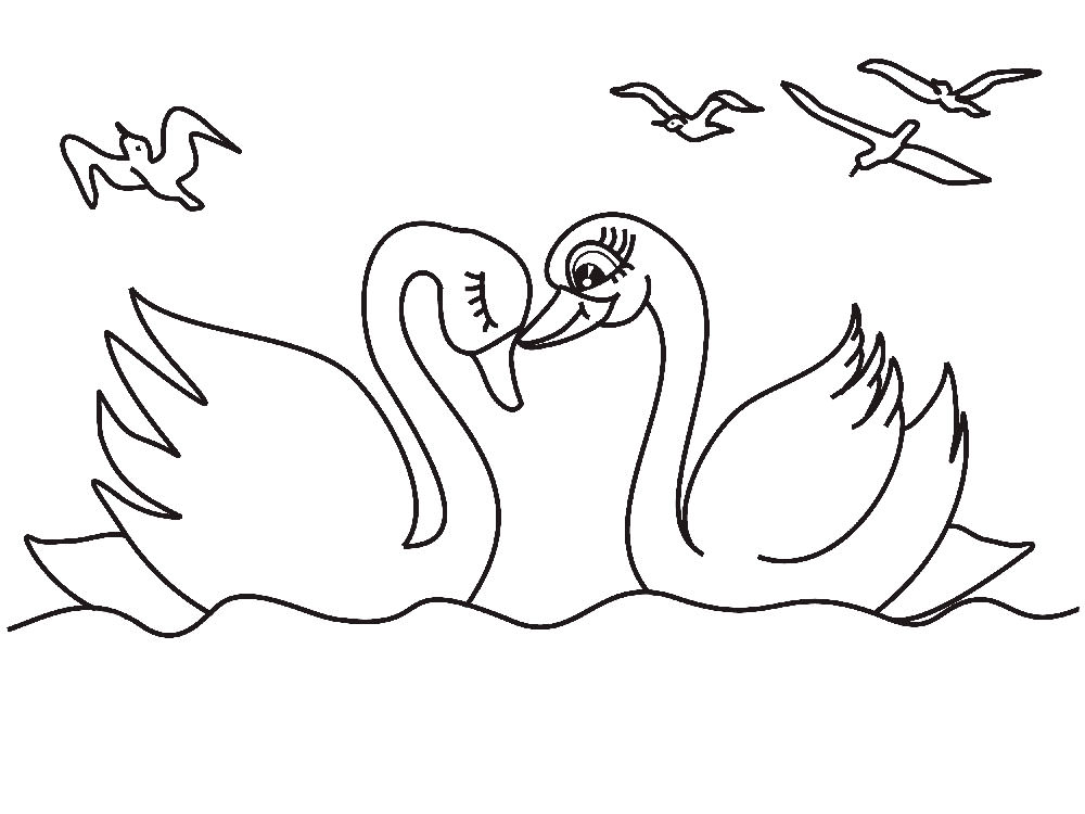 Лебедь картинки раскраски (24)
