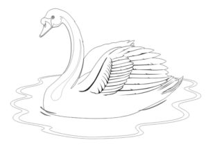 Лебедь картинки раскраски (4)