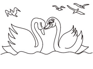 Лебедь картинки раскраски (7)