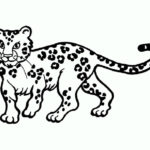 Леопард картинки раскраски (1)