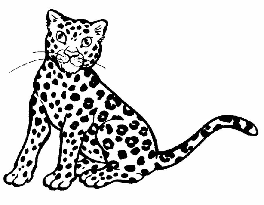 Леопард картинки раскраски (16)