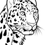 Леопард картинки раскраски (24)