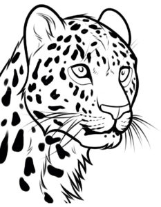 Леопард картинки раскраски (24)