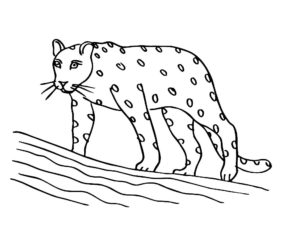 Леопард картинки раскраски (32)