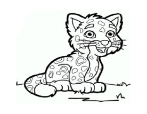 Леопард картинки раскраски (8)