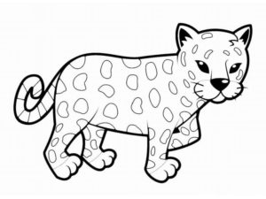 Леопард картинки раскраски (9)