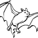 Летучая мышь картинки раскраски (6)