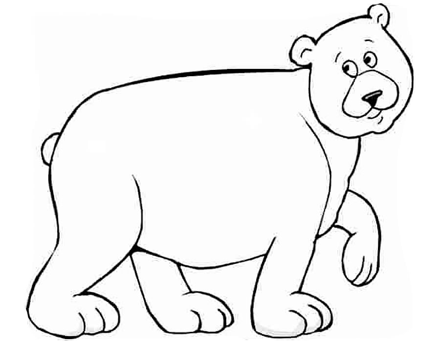 Медведи и мишки картинки раскраски (15)