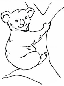 Медведи и мишки картинки раскраски (18)