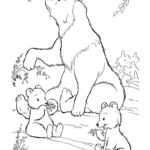 Медведи и мишки картинки раскраски (21)