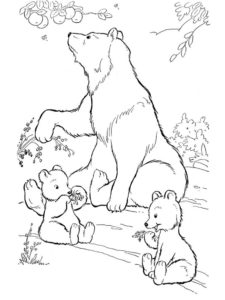 Медведи и мишки картинки раскраски (21)