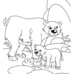 Медведи и мишки картинки раскраски (24)