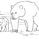 Медведи и мишки картинки раскраски (25)