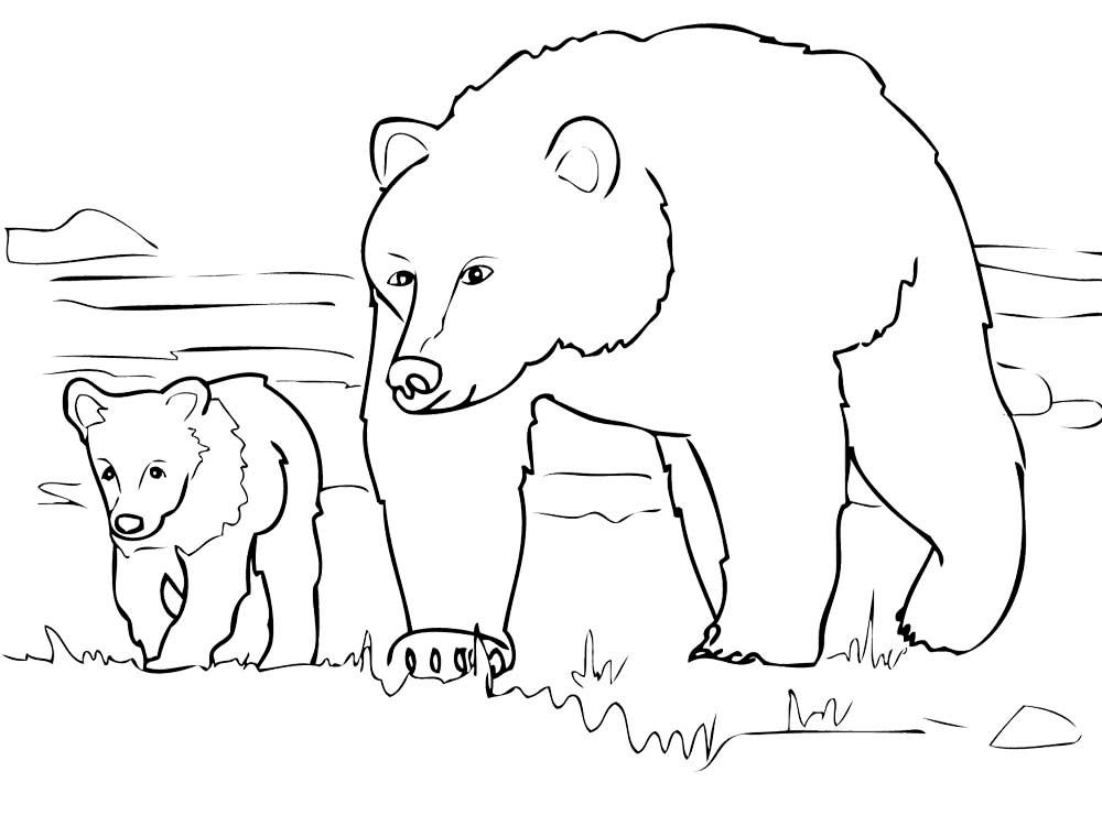 Медведи и мишки картинки раскраски (25)