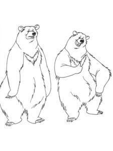 Медведи и мишки картинки раскраски (26)