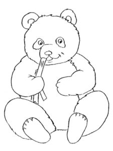 Медведи и мишки картинки раскраски (28)
