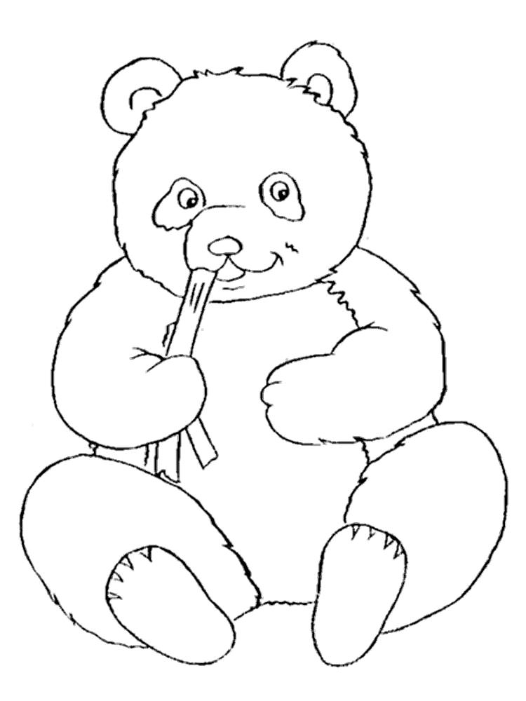 Медведи и мишки картинки раскраски (28)