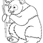 Медведи и мишки картинки раскраски (29)