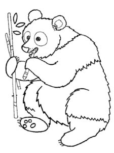 Медведи и мишки картинки раскраски (29)
