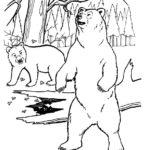 Медведи и мишки картинки раскраски (30)