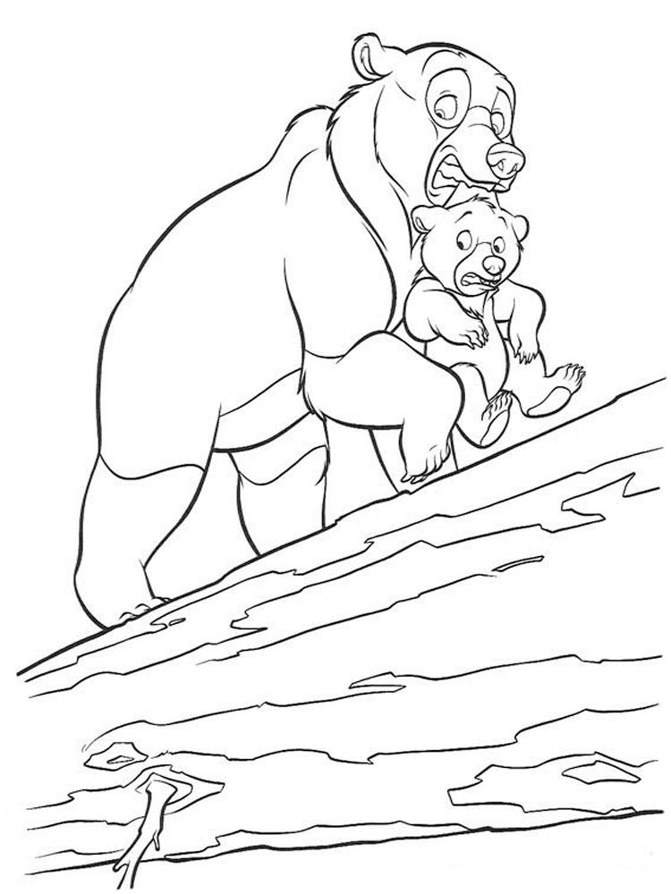 Медведи и мишки картинки раскраски (31)