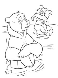 Медведи и мишки картинки раскраски (32)
