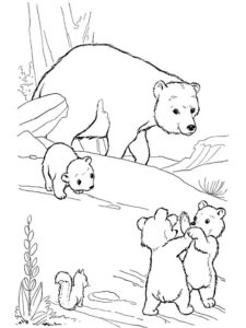 Медведи и мишки картинки раскраски (33)