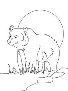 Медведи и мишки картинки раскраски (36)