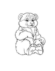 Медведи и мишки картинки раскраски (38)