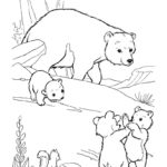 Медведи и мишки картинки раскраски (6)