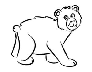 Медведи и мишки картинки раскраски (7)