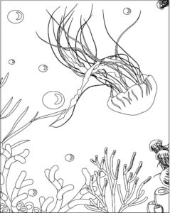 Медуза картинки раскраски (11)