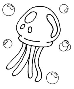 Медуза картинки раскраски (14)