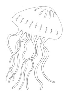 Медуза картинки раскраски (17)