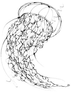 Медуза картинки раскраски (22)