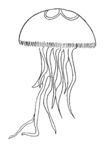Медуза картинки раскраски (28)