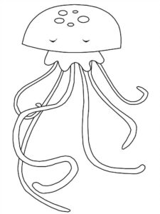 Медуза картинки раскраски (29)