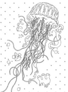 Медуза картинки раскраски (3)