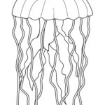 Медуза картинки раскраски (31)