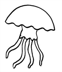 Медуза картинки раскраски (32)