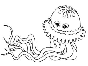 Медуза картинки раскраски (33)