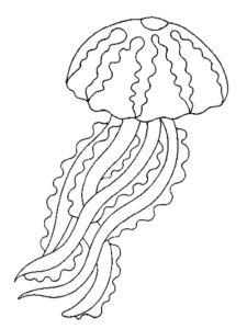 Медуза картинки раскраски (34)